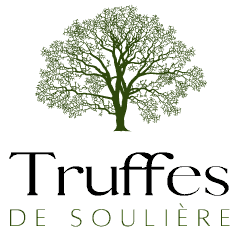 LOGOTRUFFESTRANSPARENT